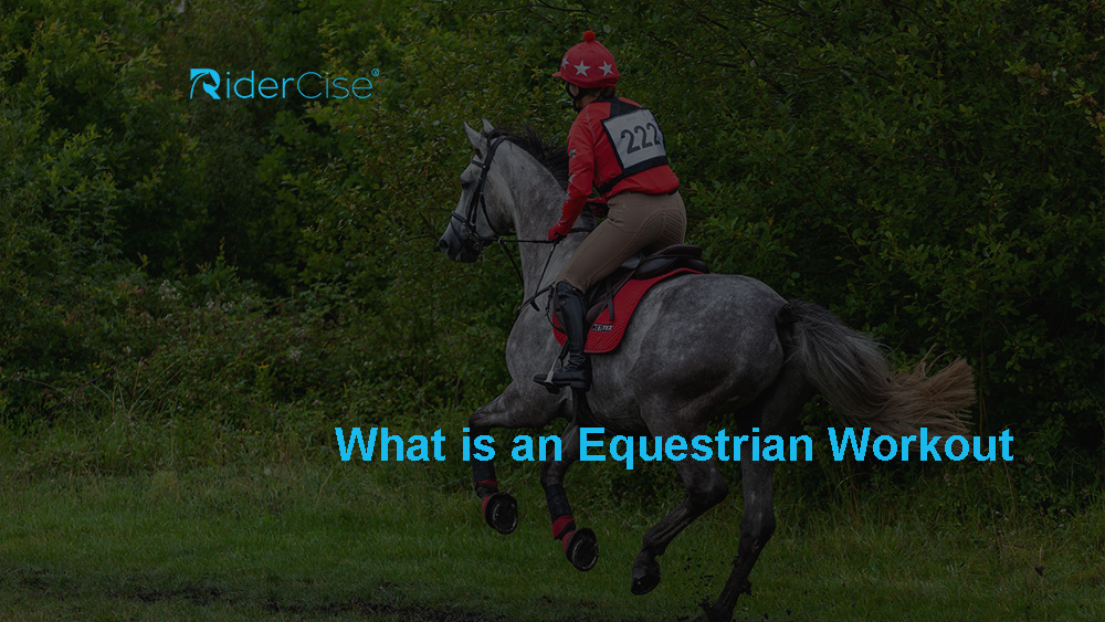 What is an Equestrian Workout