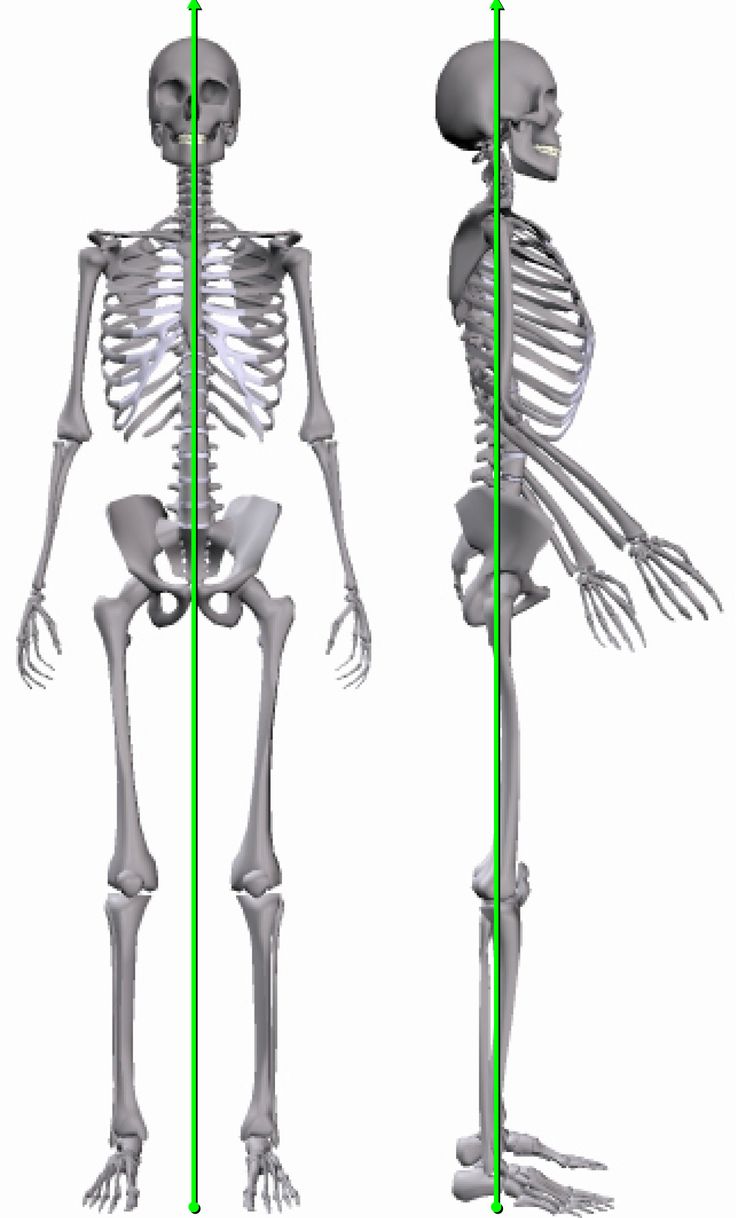 How Posture Affects your Riding Core - Correct Standing Posture